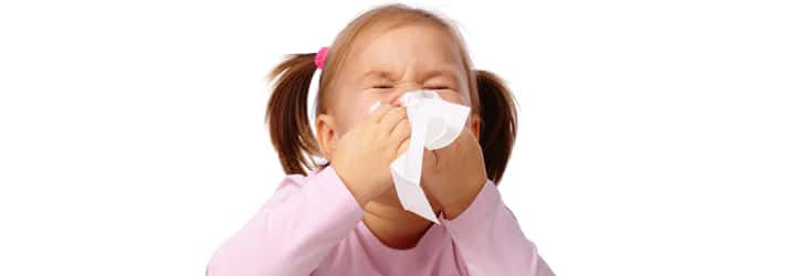 Chiropractic Brookfield WI Allergies Chiropractic Brookfield WI Allergies